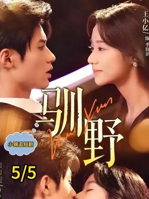 无声边界 都市情感剧